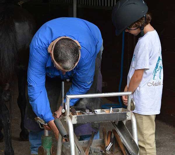 Young boy observing farrier shoe a horse